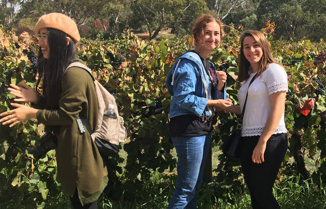 International students enjoying a tour to the Barossa Valley